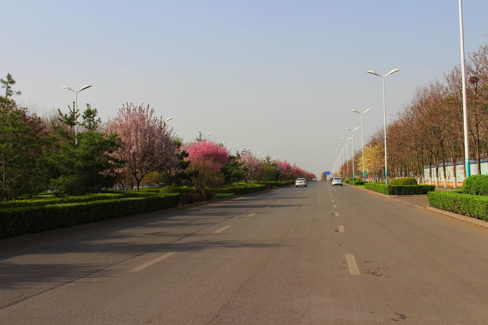 文(wén)博路实景